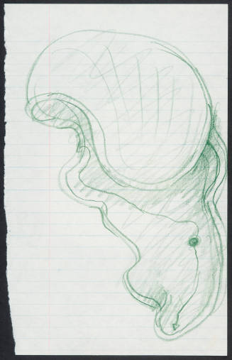 Preparatory drawing for "Pigeon"