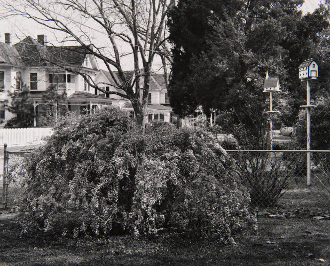 Belhaven, North Carolina, 1982