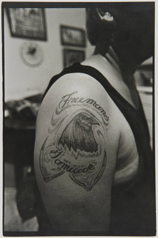 Freemans Gamecock Tattoo