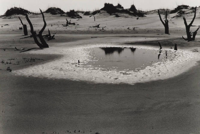 Shackleford Island, North Carolina, 1972