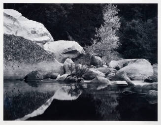 Boulder & Trees, Merced River