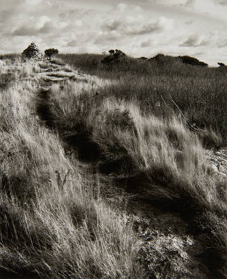 Island Path, Star Island, Isles of Shoals, New Hampshire