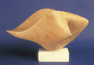 Shell Form