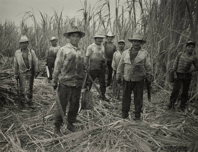 Cañeros (Cane Cutters) near Veracruz