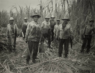 Cañeros (Cane Cutters) near Veracruz