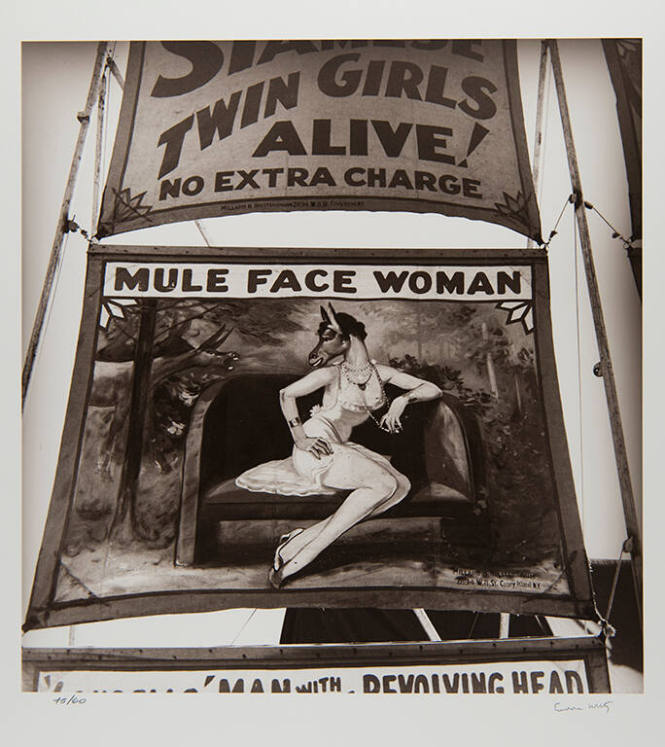 Untitled. Side show poster: "Mule Face Woman" (Side show, state fair, Jackson)