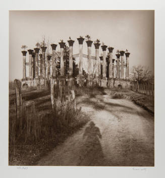 Ruins of Windsor (Claiborne County)