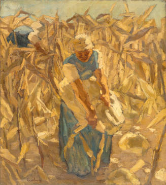 Corn Harvest