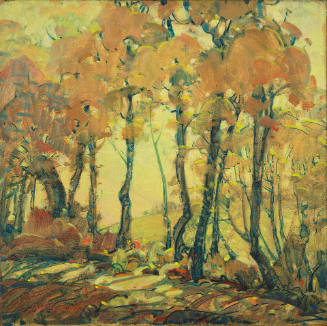 Autumn Trees