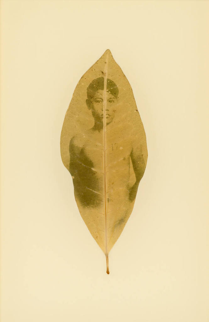 Binh Danh