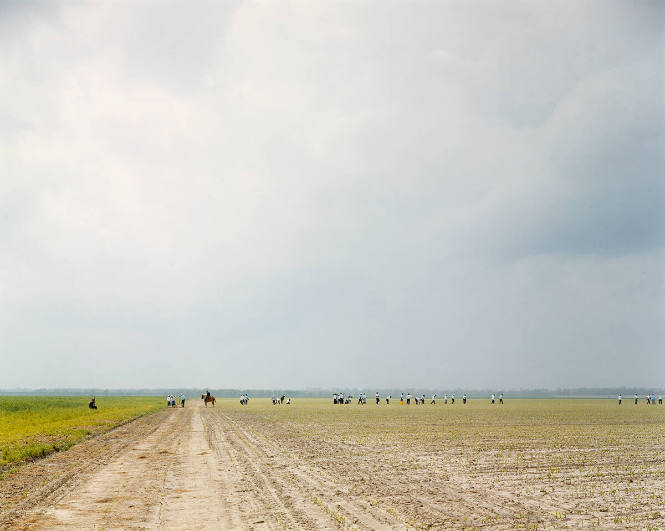 The Farm, Angola State Prison, Louisiana