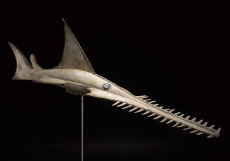 Sawfish Helmet Mask (oki)