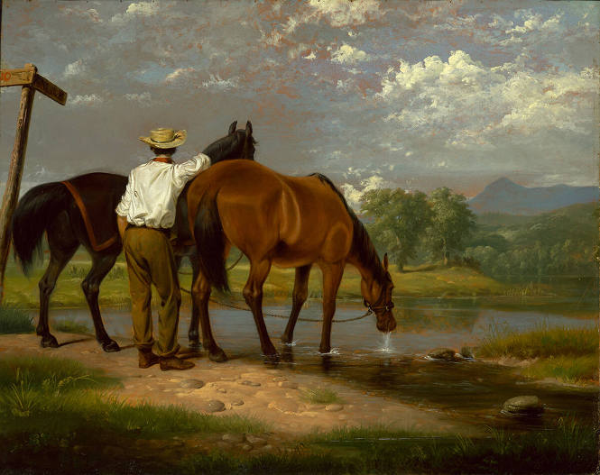 Watering Horses