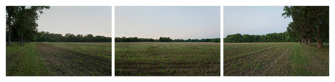 Center of the Confederate Line, View towards the Union line from the position of Maj. General John Bell Hood's division. Battle of Fredericksburg, December 13, 1862. Fredericksburg, Virginia, June 2, 2011, 7:42–7:46 p.m.
