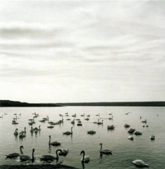 Abbotsbury, Dorset, England, 1989