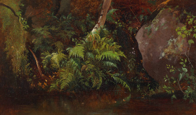 Ferns along Water's Edge