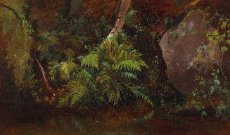 Ferns along Water's Edge