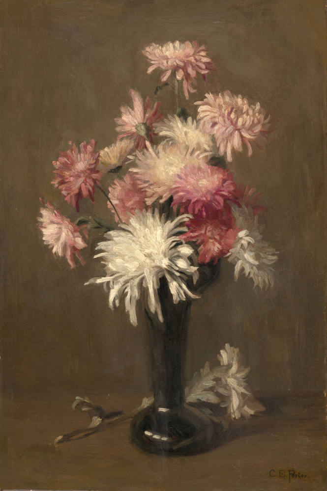 Pink Chrysanthemums