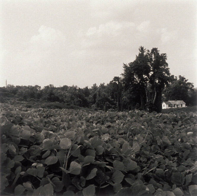 Reidsville, North Carolina, June 2003