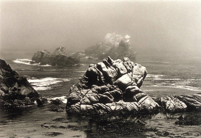 Point Lobos, 1971