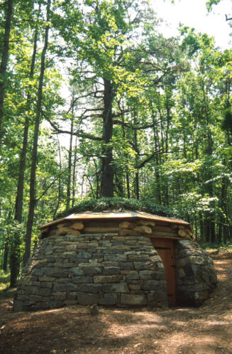 Cloud Chamber for the Trees and Sky