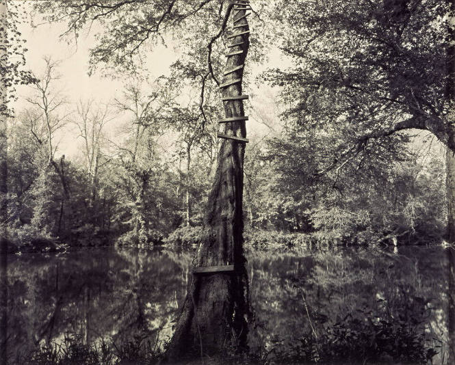 Jumping Tree, Haw River