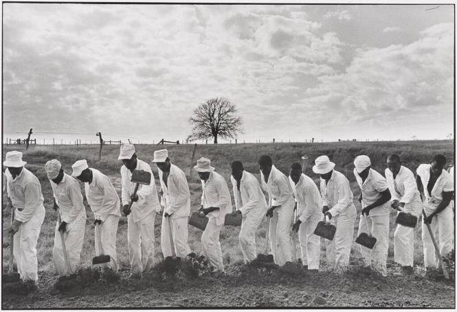 The Line, Texas