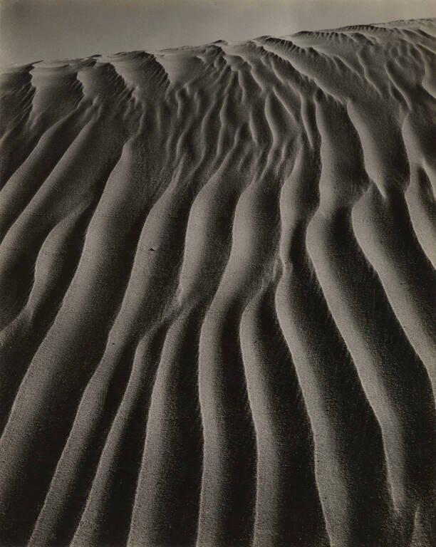 Brett Weston