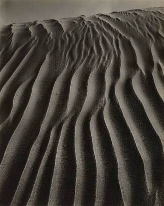 Dunes, Oceano